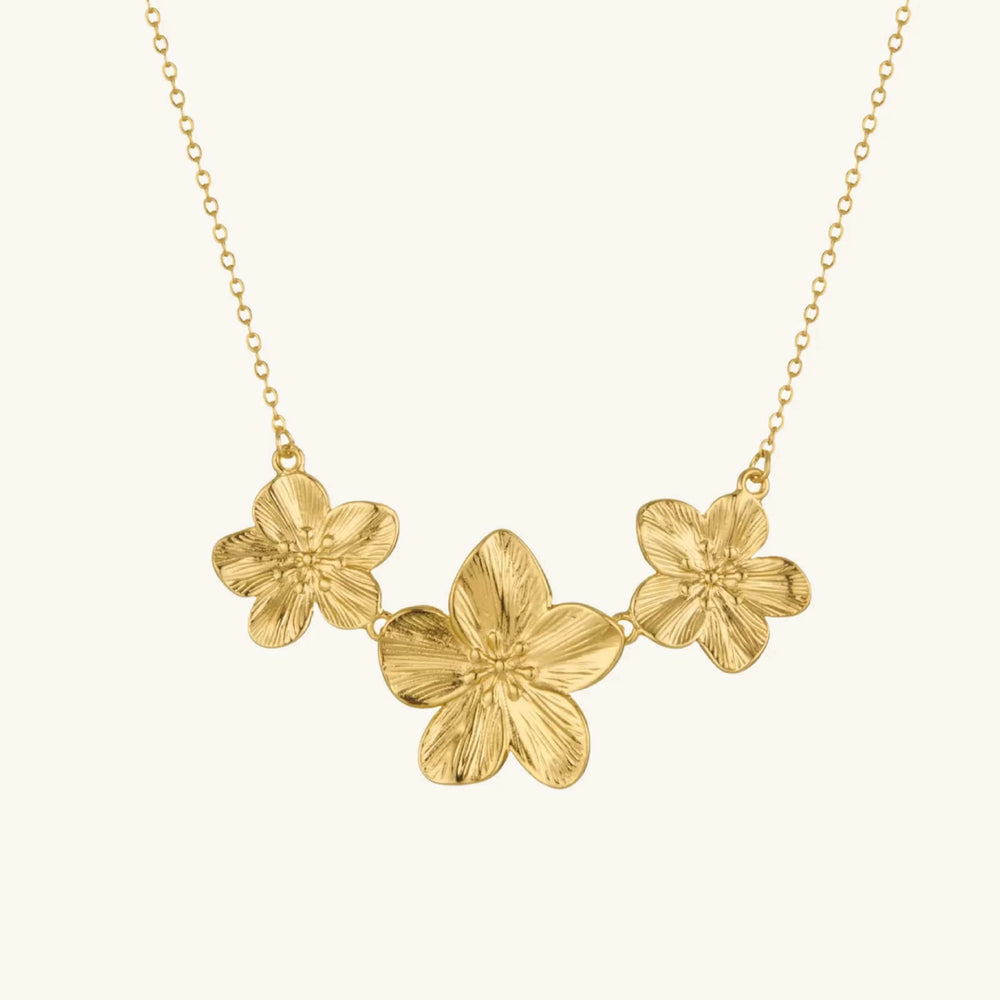 PakabukasFlowers