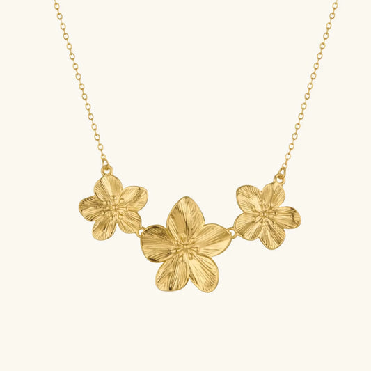 PakabukasFlowers